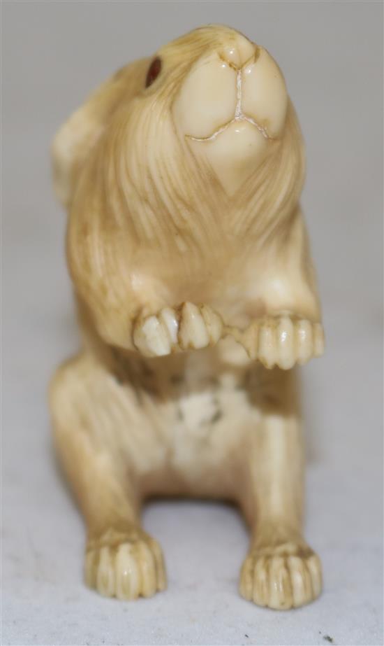 A Japanese ivory okimono of a hare, early 20th century, height 5.4cm, age cracks